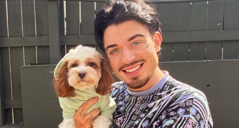 Dalton Harnage Accident: How Did It Happen, Is He Dead Or Still Alive? Georgia Accident Update