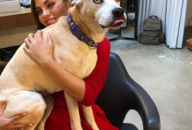 How Did Puppy Girl Jenna Die