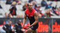Does Melbourne Football Captain David Neitz Have A Wife
