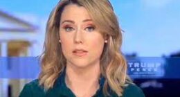 Erin Perrine Wikipedia: How Old is She? Facts To Know About The Lawyer