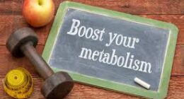 What Are The Factors That Affect Metabolic Rate? Difference Between A Fast Metabolism and A Slow Metabolism?