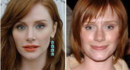 When Did Bryce Dallas Howard Get A Nose Job? Here Are Her Before And After Pictures