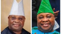 Who Is Ademola Adeleke Wife Titilola Adeleke? New Elected Osun State Governor - A Nigerian Politician Man