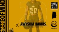 How Did Sophomore Player Awysum Harris Die? Family Mourns Over His Death, Cause Of Death And Obituary