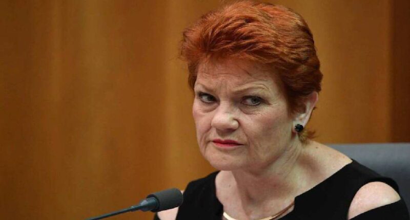 Pauline Hanson's First Husband: Who Is Walter Zagorski? Inside 7 Years Relationship Timeline