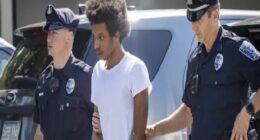 Watch Saddiq Washington Arrested As Suspect in Murder Case - Who Is King Hua From Darby? Explored