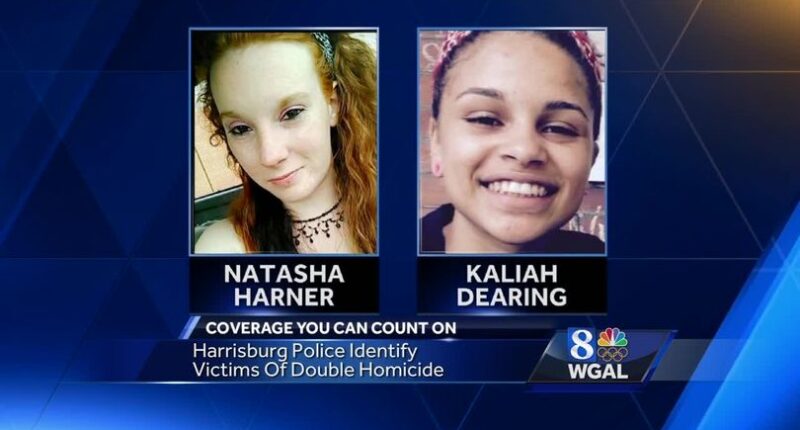 Was Kaliah Dearing Pregnant At The Time Of Her Murder