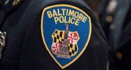 Who Is Steven Angelini From Baltimore? Police Officer Charged With Selling Drugs