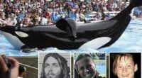 How Did Orca Trainer Keltie Byrne Die? His Death Shocks Fans And Family