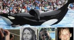 How Did Orca Trainer Keltie Byrne Die? His Death Shocks Fans And Family