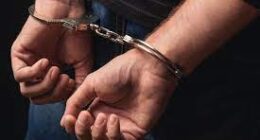 Jason Stoll Felony Charges & Jail Time- What Happened? Who Is Suspect From Florida? Felony Charges & Jail Time