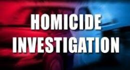 Plattsburgh NY Murder Victim Identified: Who Was Monique Yanulavich
