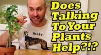 Does Talking To Plants Help Them Grow Experiment? What Is Tree Challenge TikTok?
