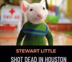 Was Rapper Stuart Little Shot Dead In Houston? Death Cause And Wikipedia Bio