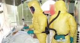 Marburg Virus Natural Treatment: Symptoms & How Does the Marburg Virus Spread?
