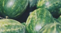 What Are The Benefit of Eating Watermelon Seeds For Male? Disadvantages Or Cons To Know