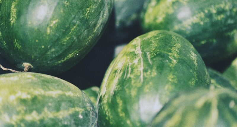 What Are The Benefit of Eating Watermelon Seeds For Male? Disadvantages Or Cons To Know