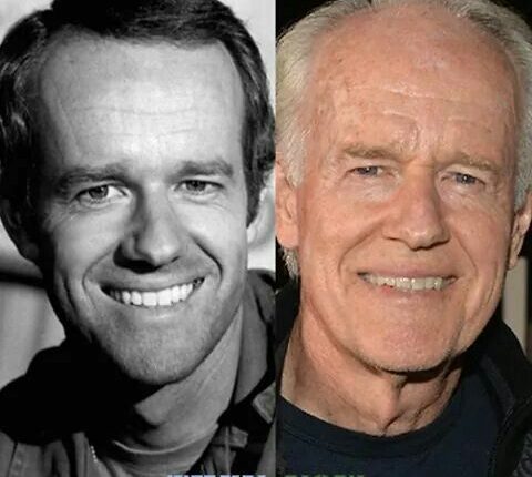 Is Mike Farrell Related To Will Farrell? MASH Actor Shelley Fabares and Children Today