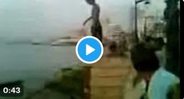 Face Split Diving Accident Twitter Video: How Did It Happen? Boy face split while Diving