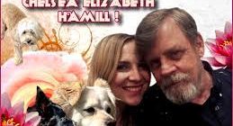 Mark Hamill's Daughter Chelsea Hamill Loves Dogs - 5 Fast Facts
