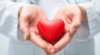 5 risk factors for heart disease And How To Help Prevent Them? Here Is What To Know