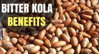 30 Amazing Health Benefits Of Eating Bitter Kola