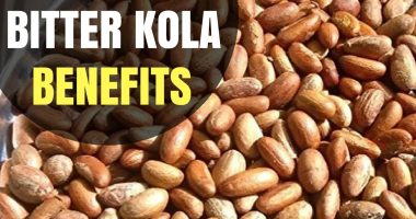 30 Amazing Health Benefits Of Eating Bitter Kola