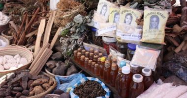 How Agbo Jedi Jedi Can Help You Improve Your Health