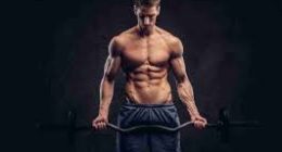 What is the best exercise for ectomorphs?