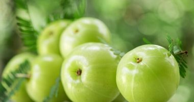What are the health benefits of emblica officinalis?