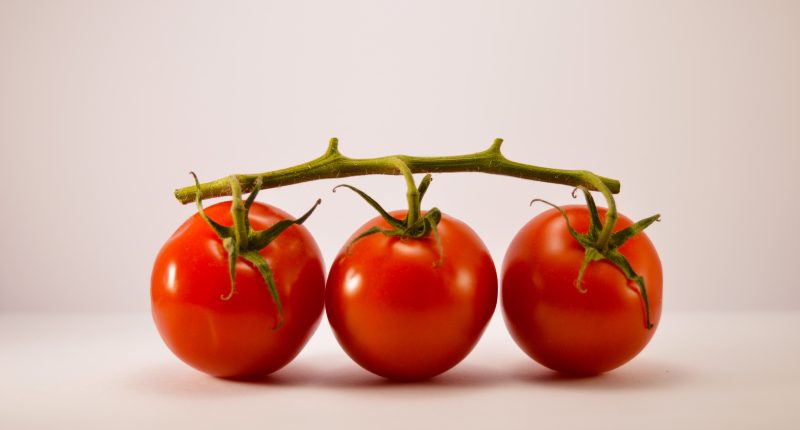 6 Reasons Why You Should Eat Tomatoes Every Day