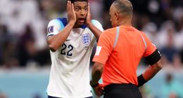 Fact Check: Is Wilton Sampaio Fired After England France Quarter Final Game? Salary Career Earning And Net Worth 2022