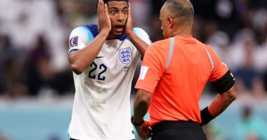 Fact Check: Is Wilton Sampaio Fired After England France Quarter Final Game? Salary Career Earning And Net Worth 2022