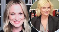 Did Amy Poehler Get Facelift Surgery?