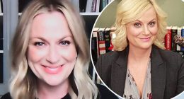Did Amy Poehler Get Facelift Surgery?