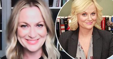 Did Amy Poehler Get Facelift Surgery?