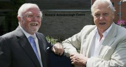 Are Richard Attenborough And David Attenborough Related? Family Tree Or Are They Brothers? Net Worth Difference
