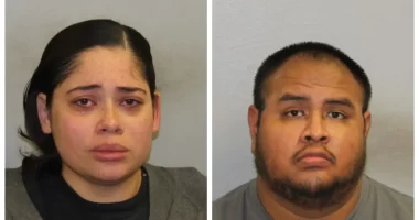 Ashley Hernandez-DeJesus And Rocky Arrested