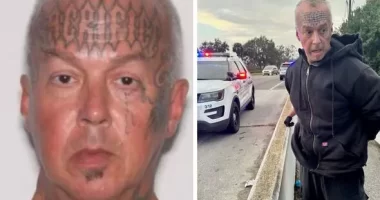 Arrested: Is Bruce Whitehead In Jail or Prison Now?