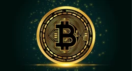 Investments in Cryptocurrencies: How to Get Returns?