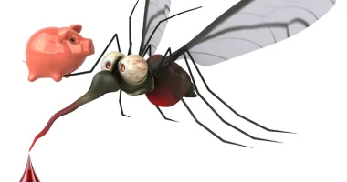 Does Virgin coconut oil repel mosquitoes?