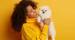5 Harmful Ingredients To Avoid For Your Pets: You Should Know