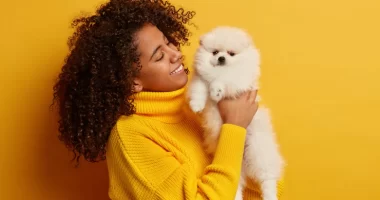 5 Harmful Ingredients To Avoid For Your Pets: You Should Know