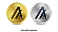 Algorand: The Future of Decentralized Finance