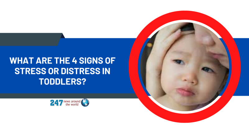 What are the 4 signs of stress or distress in toddlers?