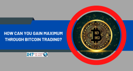 How can you gain maximum through bitcoin trading?