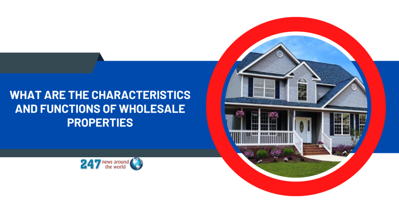 What Are The Characteristics And Functions of Wholesale Properties