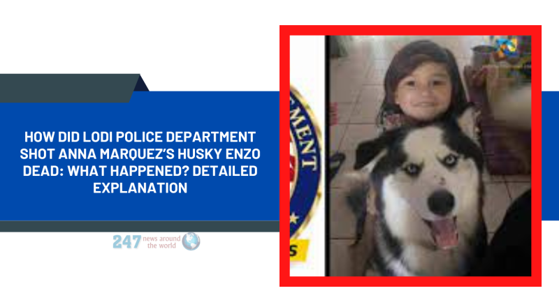 How Did Lodi Police Department Shot Anna Marquez’s Husky Enzo Dead: What Happened? Detailed Explanation