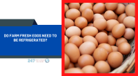 Do Farm Fresh Eggs Need to Be Refrigerated?