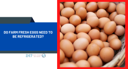 Do Farm Fresh Eggs Need to Be Refrigerated?